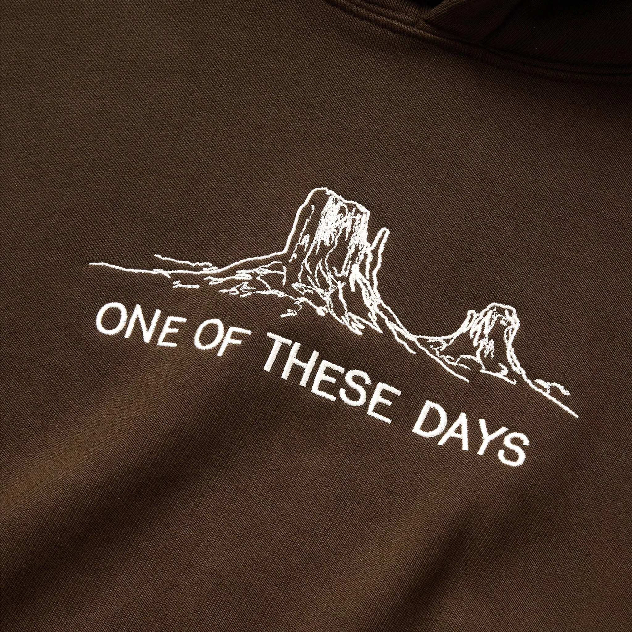 One Of These Days Follow The Road Hooded Sweatshirt (Dark Brown)