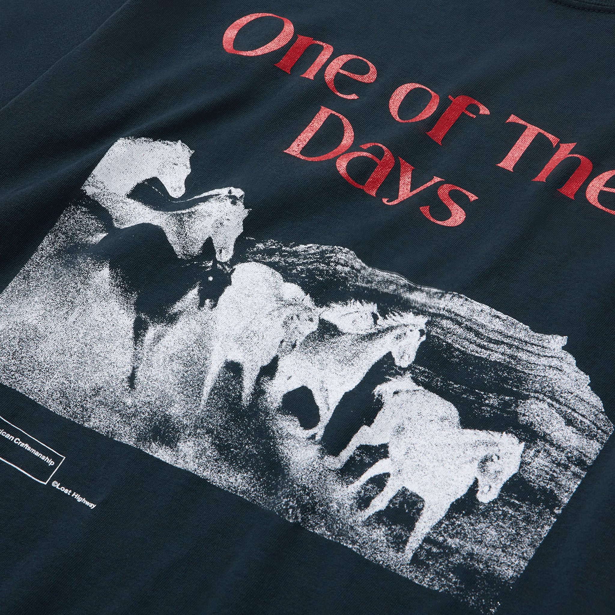 One Of These Days Glad You're Here With Me Tee (Hard Washed Black)
