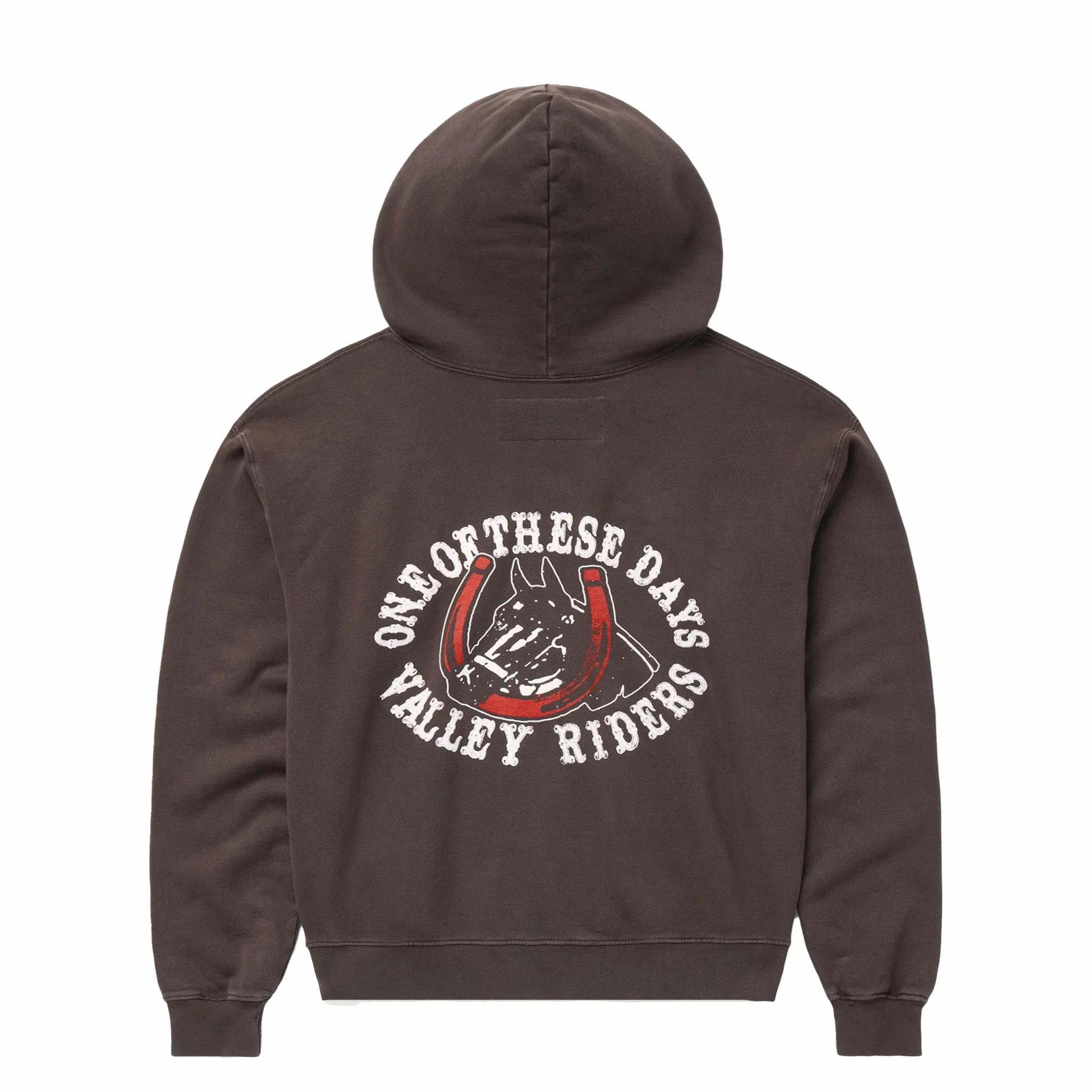 One Of These Days Valley Riders Zip Hoodie (Sun Faded Washed Brown)