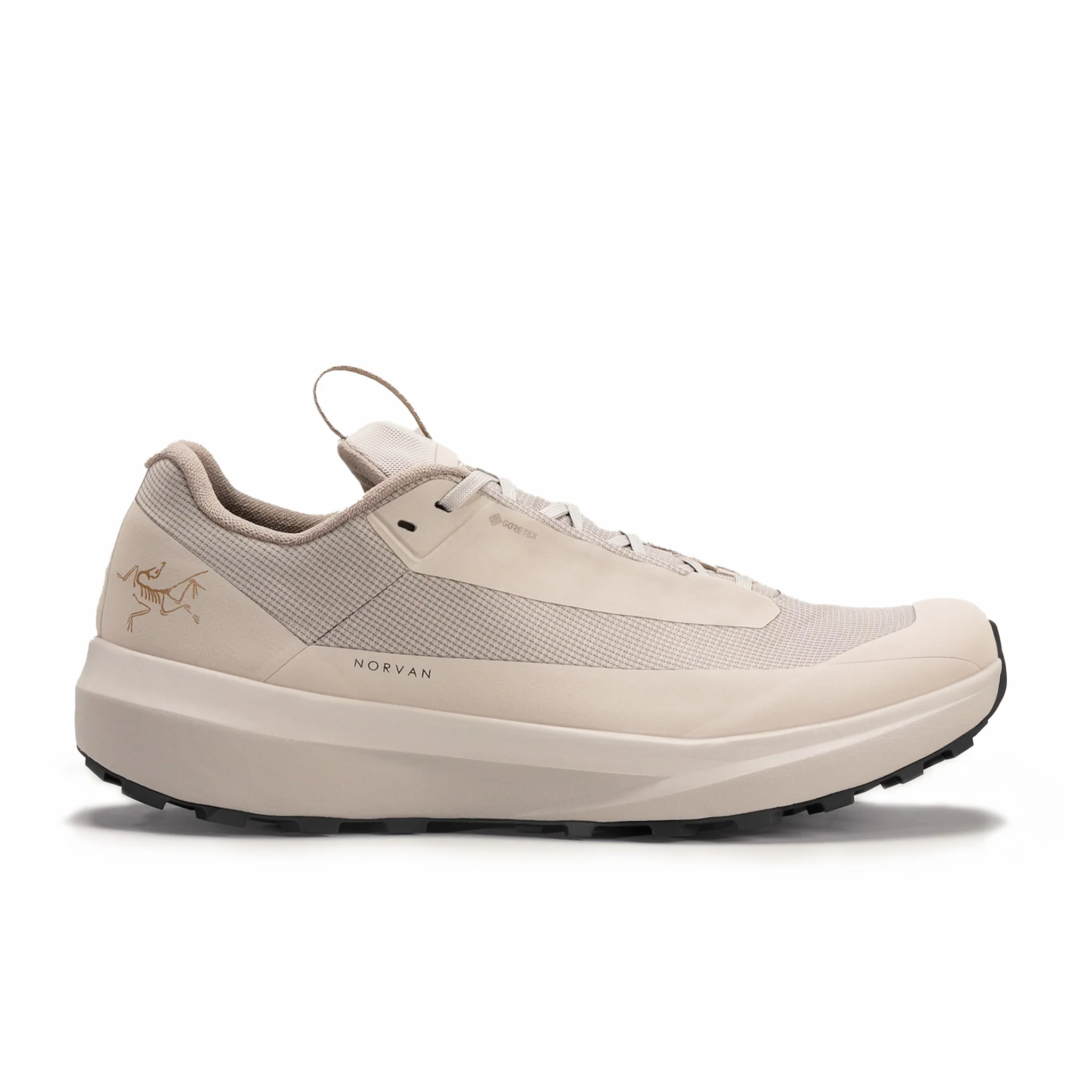 Arc'teryx Men's Gore-Tex Norvan LD 4 Shoe (Rune/Rune)