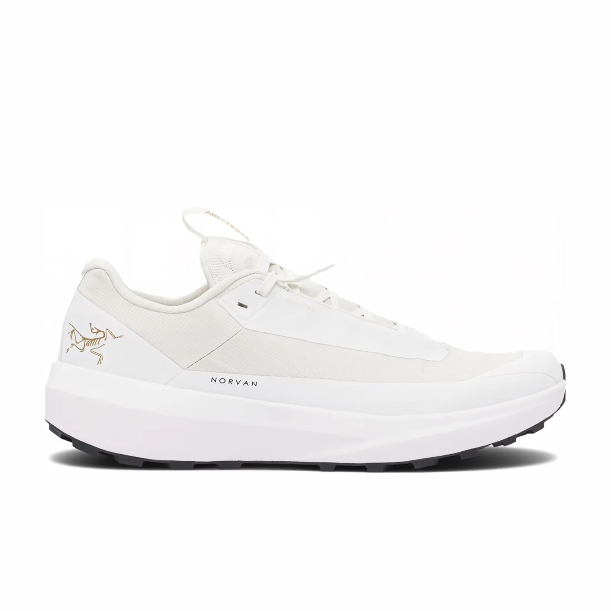 Arc'Teryx Norvan LD 4 GTX (Arctic Silk/Arctic Silk)