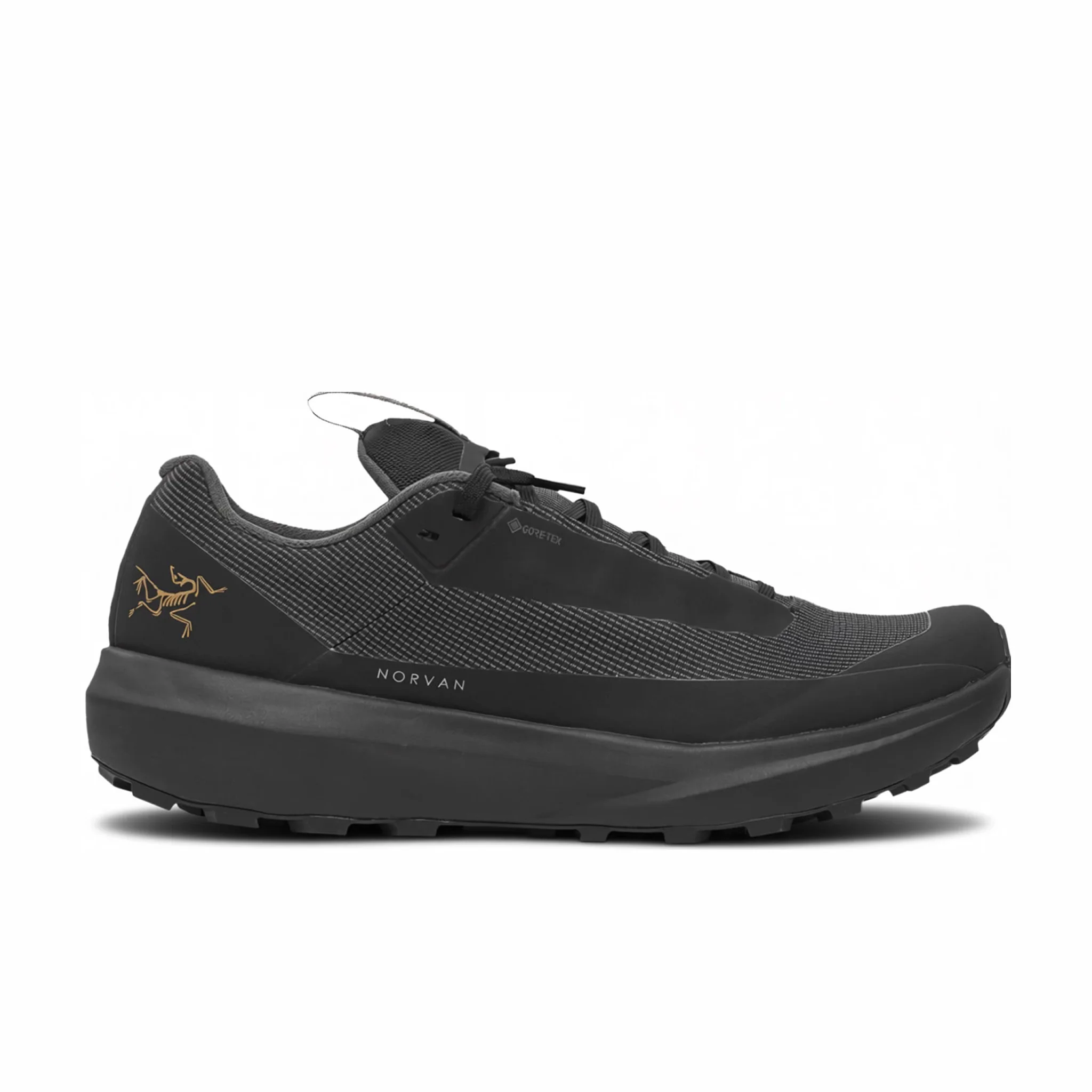 Arc'Teryx Norvan LD 4 GTX (Black/Black)