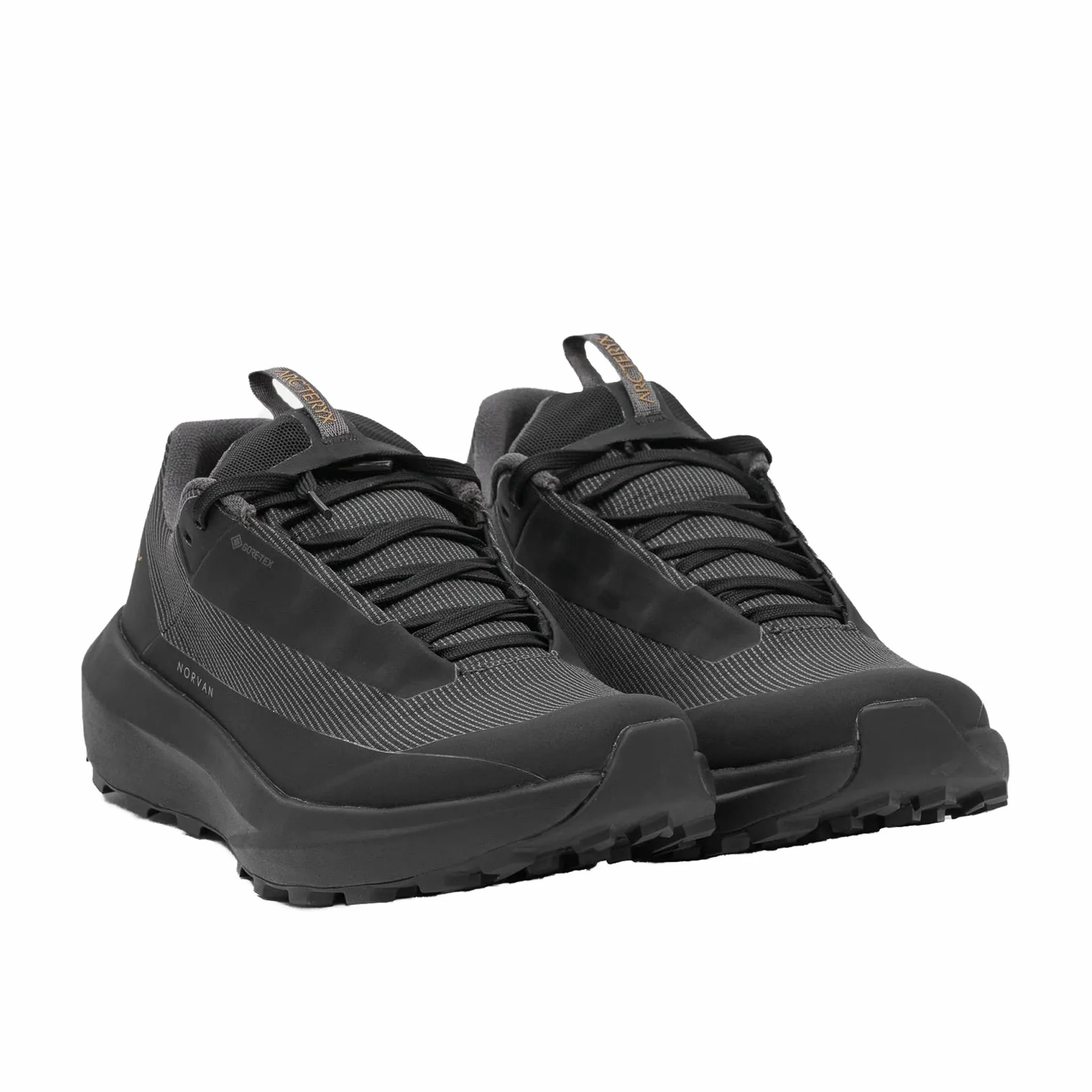 Arc'Teryx Norvan LD 4 GTX (Black/Black)